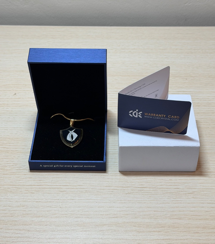 Queen's Guard Shield Necklace for Men, Stainless Steel Pendant - Brand New